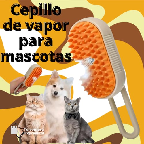 Encabezado
